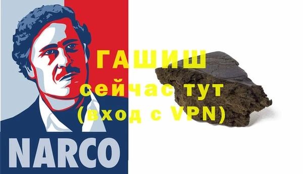 индика Арсеньев