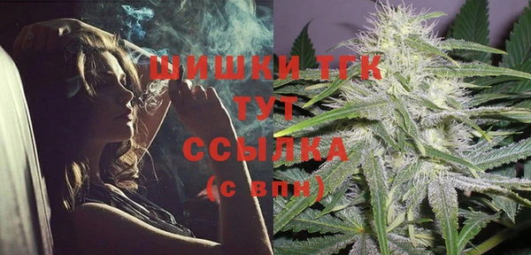 индика Арсеньев