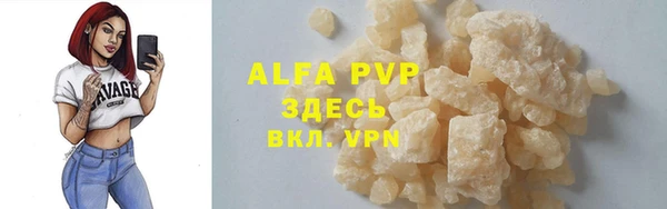 индика Арсеньев