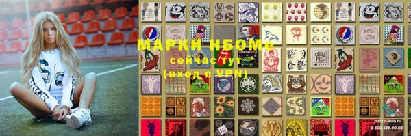 индика Арсеньев