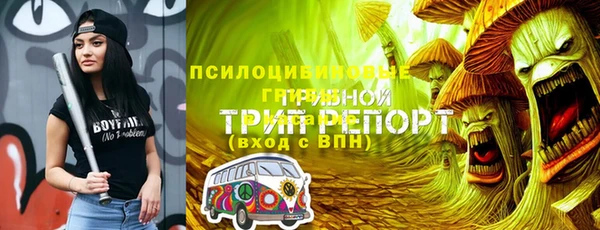 индика Арсеньев