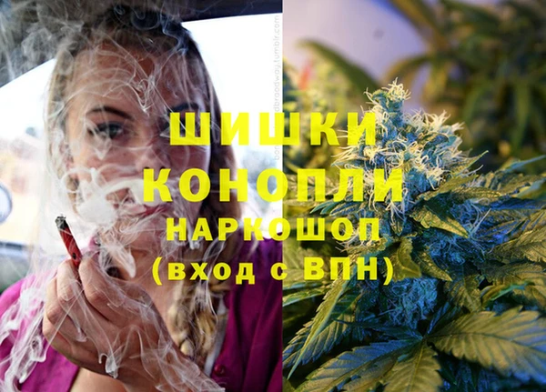 индика Арсеньев