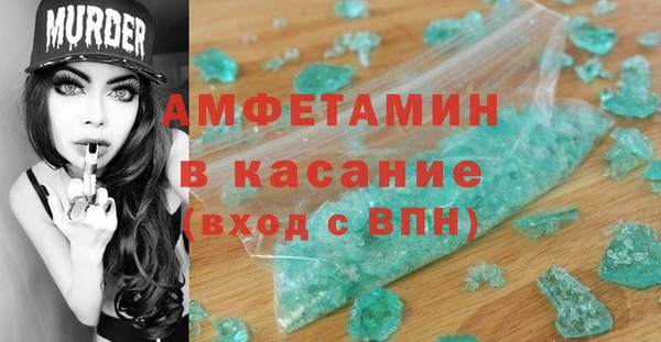 индика Арсеньев