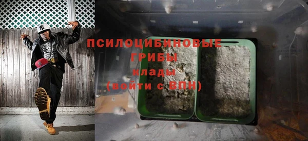 индика Арсеньев