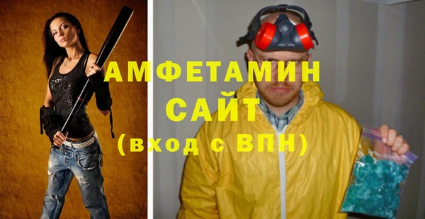 индика Арсеньев
