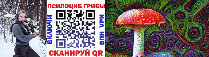 магазин продажи наркотиков  Ветлуга  Псилоцибиновые грибы ЛСД 